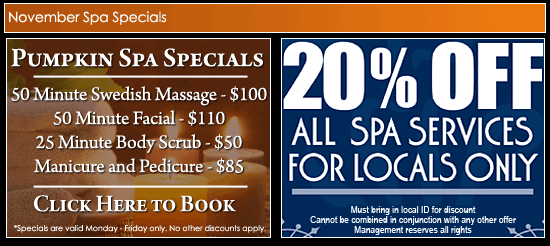 November Spa Specials